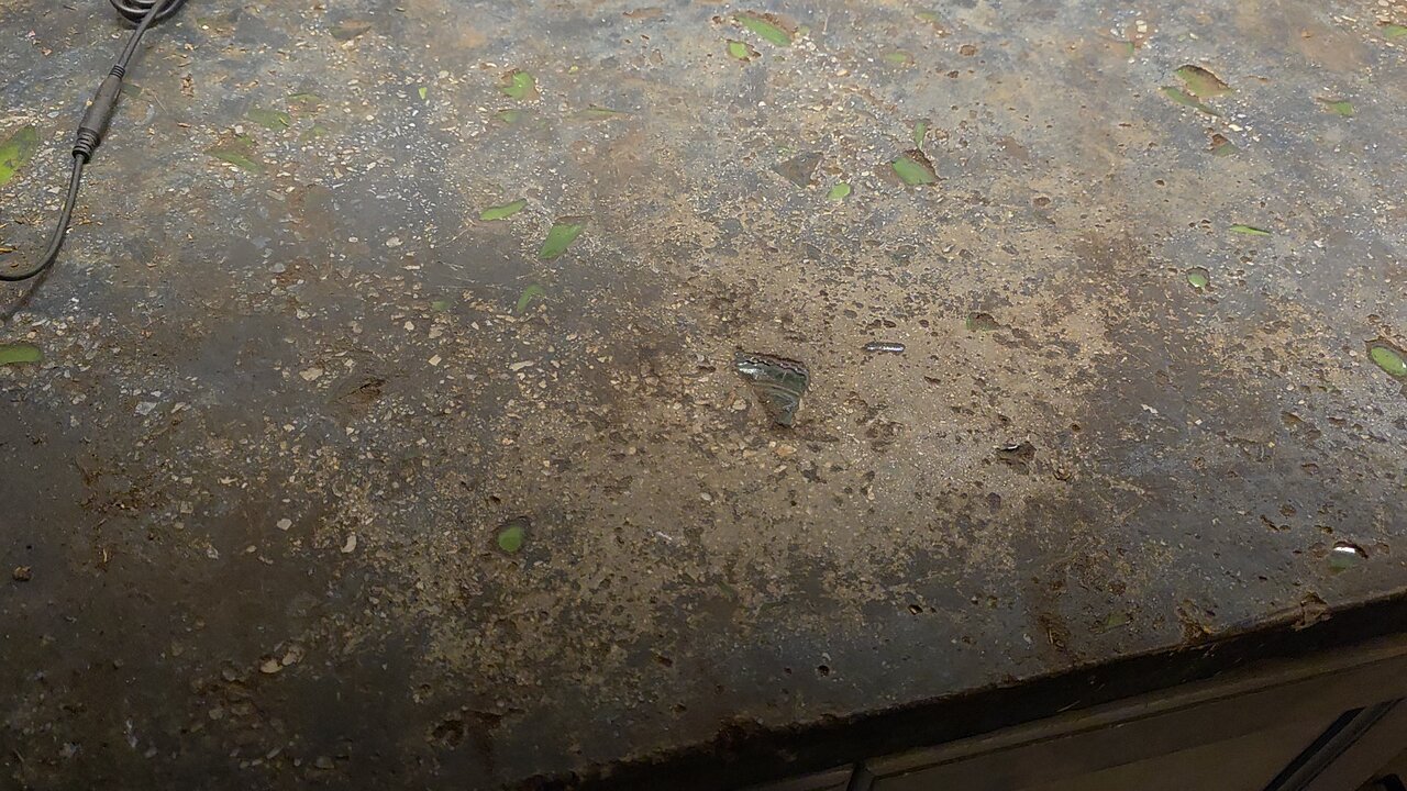 Concrete Pantry Counter Top?