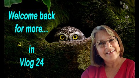 Vlog 24