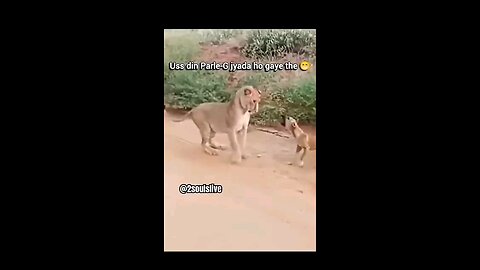 🐶😂 dogesh Bhai & The Funniest Dog Moments | Must Watch Comedy