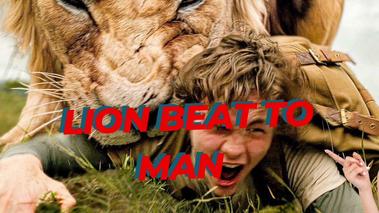 Lion beat to man
