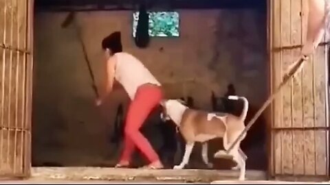 Fun World - 00007 🤣🤣🤣