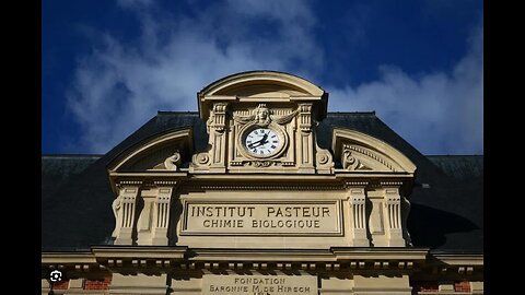 France's Pasteur Institute Bird Flu Could Risk Pandemic Worse Than COVID If it Mutates