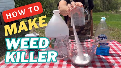 How to Make Homemade DIY Non-Toxic Weed Killer That Actually Works! | 3 Ingredients & Pet Safe