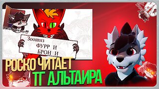 🐺 РОСКО ЧИТАЕТ ТГ АЛЬТАИРА | ПОЕХАВШИЙ ФУРРИ РУСОФОБ ПЕД И ЗОО ☠