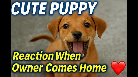 Cute Indian Puppy Reaction When Owner Comes Home 🐶❤️”