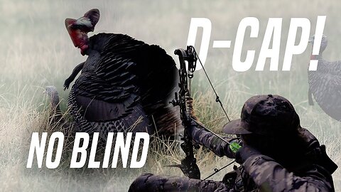 D-CAPPING a BIG gobbler with NO blind and BEAST BROADHEAD