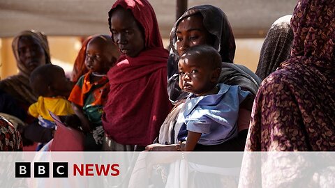 Mass killings probe in Sudan will hold culprits to account, UN says | BBC News