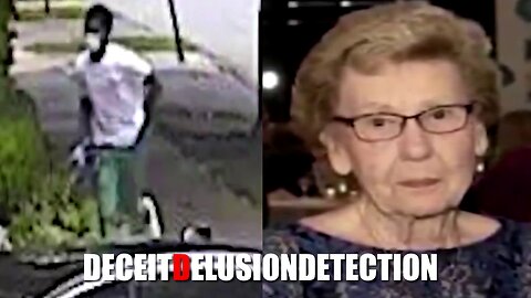 Two black suspects brutally beat and robbed an elderly 84-year-old white woman