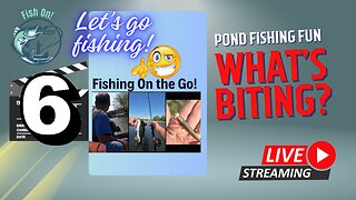 Urban Pond Fishing - On the Go Dallas #mobile #fishing #livestream Episode 106