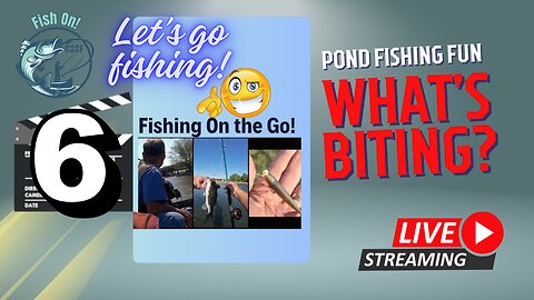 Urban Pond Fishing - On the Go Dallas #mobile #fishing #livestream Episode 106
