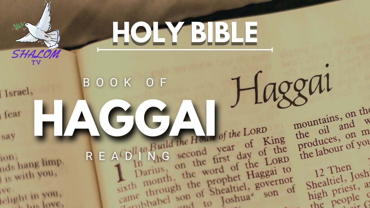 Complete Reading Of Book of HAGGAI (NIV) | HOLY BIBLE