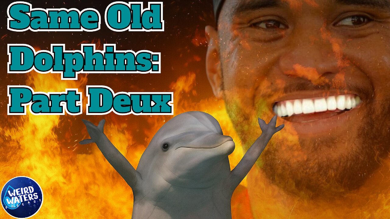 SAME OLD DOLPHINS: PART DEUX
