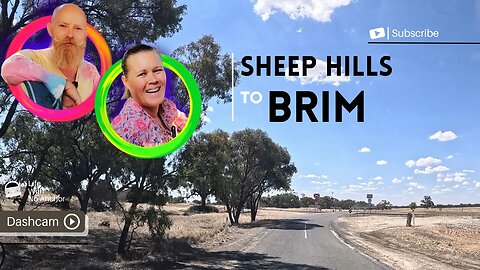 Chasing Giants: Sheep Hills to Brim's Iconic Silo Art 🎨🚗