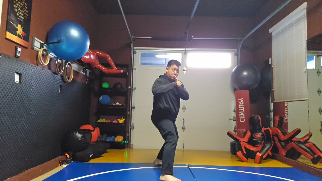 WTD Sliding Crescento Kick