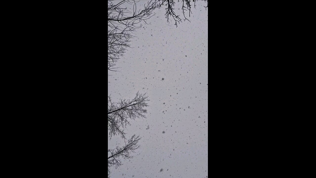When it snowing | The sky is silent