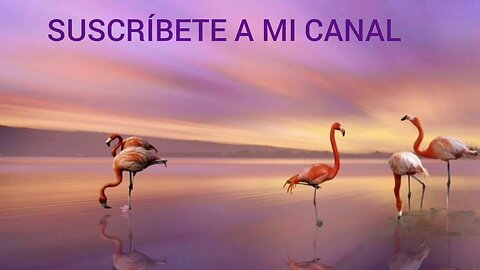 Bachata Cristiana - Mix Vol. 25 - La Mejor Exitos Alabanza Musica Cristiana.