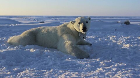 ABC News: Climate Change Major Driver Behind 'Unexpected' Sea Level Rise