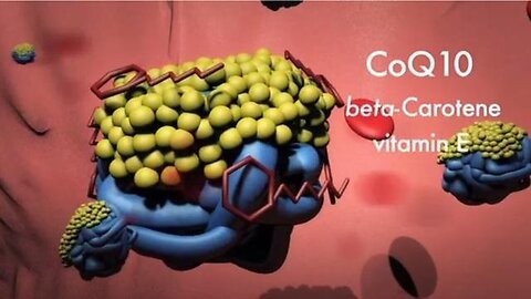 STATIN NATION - The Great Cholesterol Cover-Up (Full Movie)