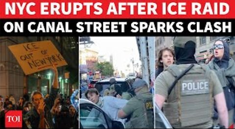 Riots In New York City After ICE Raid On Chinatown Canal Street | 'SHOW YOUR F*CKING FACE' | Watch