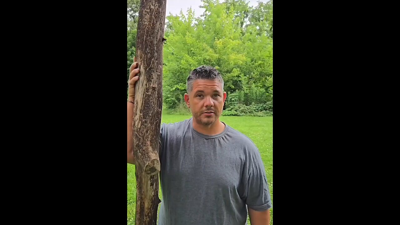 What is a Caber