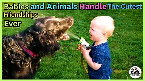 🐶 Babies & Animals _ The Cutest Friendships Ever ! 💞