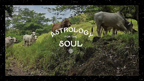 Astrology for the Soul April 30, 2025