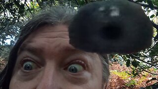 12, why i dont do , AI , format videos, they want