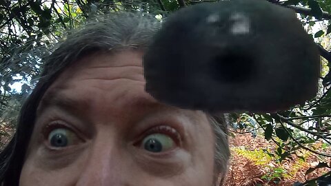 12, why i dont do , AI , format videos, they want