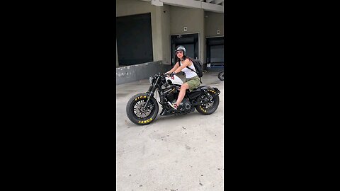 Power Of The Harley Davidson Motorbike