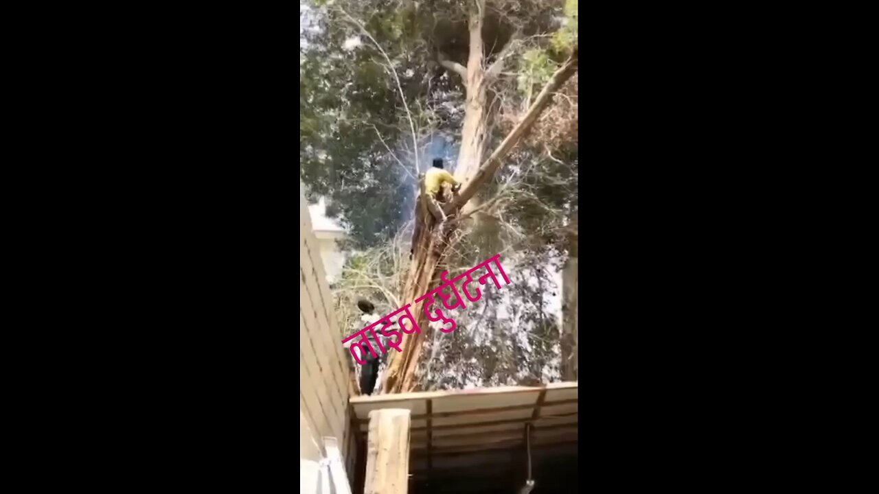 OMG