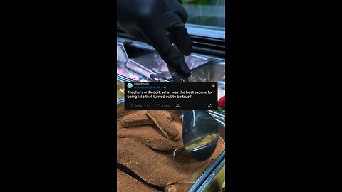 It happened in Minecraft