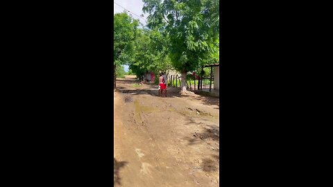 New dogs 🐕 fanny videos #shorts #dogs #fanny