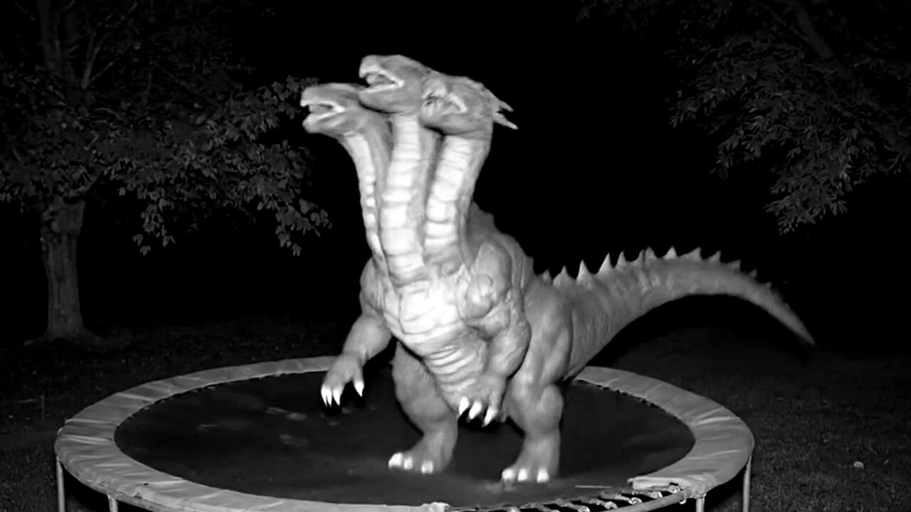 CCTV Catches Mysterious Creatures Bouncing on Trampoline – Wait Until You See This!