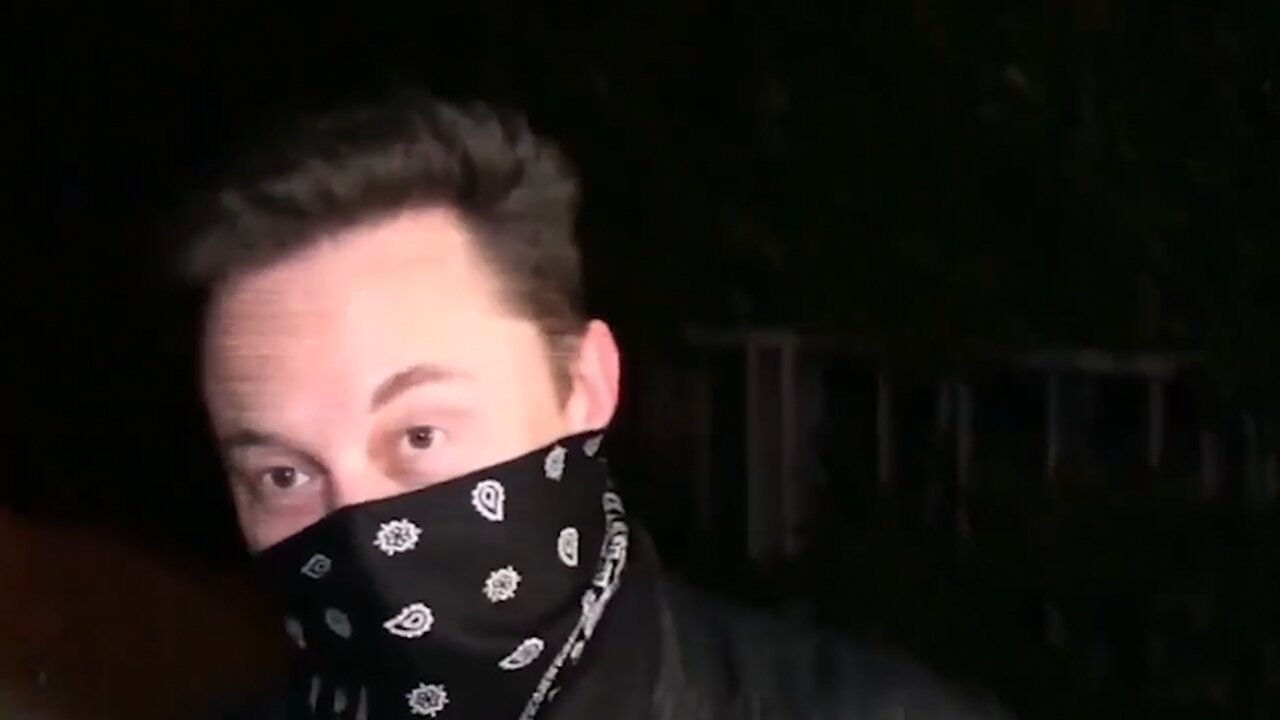 Dogecoin | "Fate Loves Irony. The Currency That Was Invented As Joke In Fact Becomes the Real Currency." - Musk