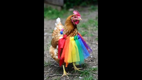 Hen Drops a Wild Banana Remix Dance! 🕺🍌🐔🔥