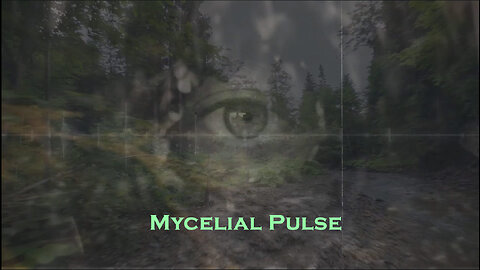 Mycelial Pulse