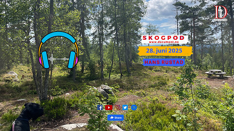 Skogpod 28. juni 2025