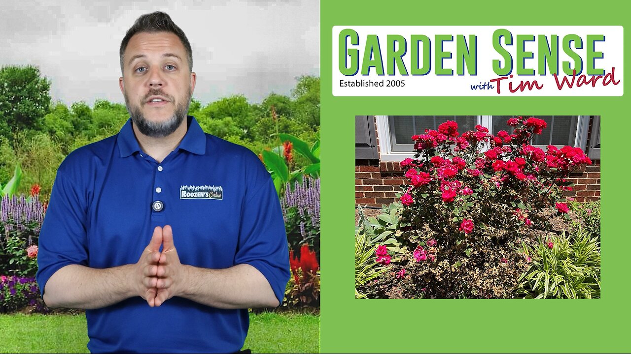 Garden Sense with Tim Ward - 05.28.25