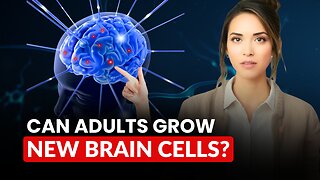 Can Adults Really Grow New Brain Cells? Science Explains