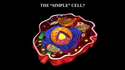 The Cell
