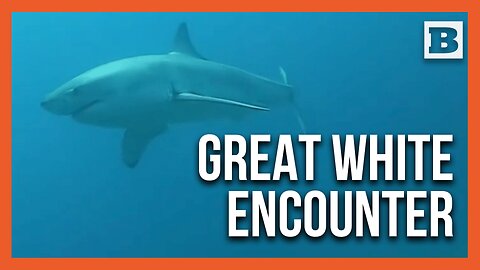 SC Diver’s “Firsts” Include a Close Call with a Great White
