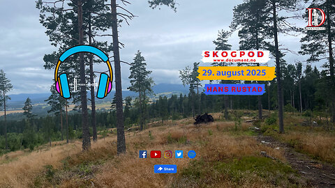 Skogpod 29. august 2025