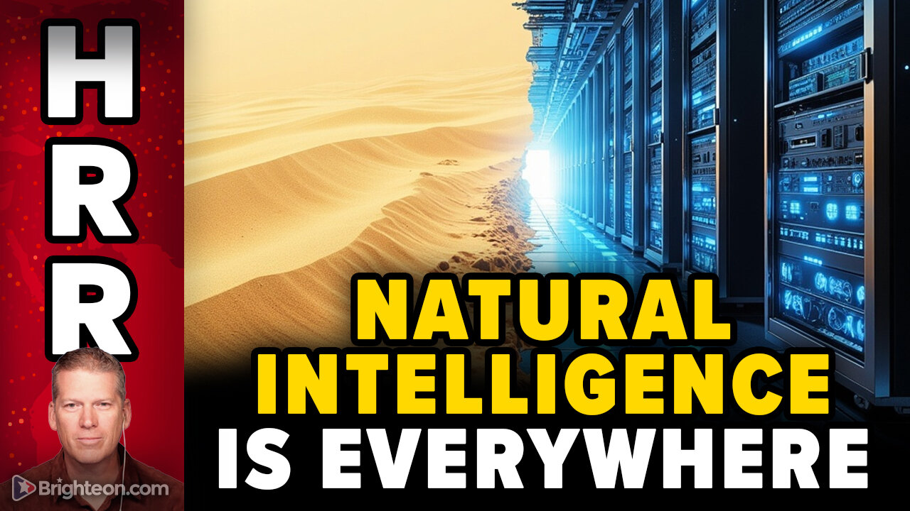 From SAND to SUPERINTELLIGENCE – Why natural intelligence is everywhere