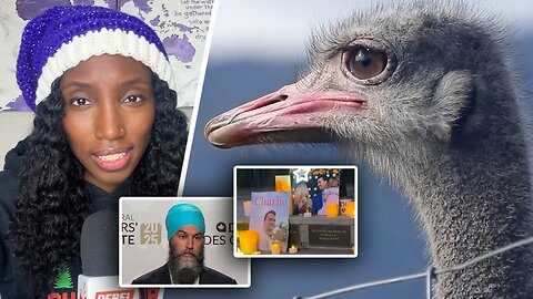 Drea Humphrey's top five Rebel News reports of 2025