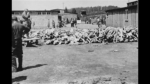 Holohoax Brief 10: Was it gas and cremation, or starvation? ~ RJMI Lecture