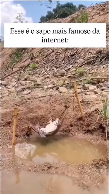 😆😁قورباغه خسته