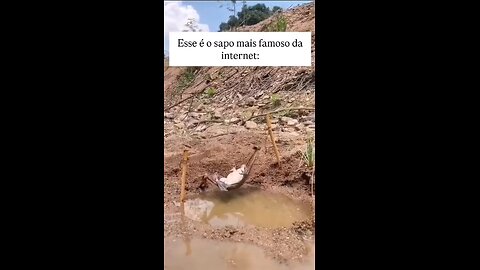 😆😁قورباغه خسته