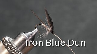 Iron Blue Dun: a trout fly from Favorite Flies and Their Histories (1892) by Mary Orvis Marbury