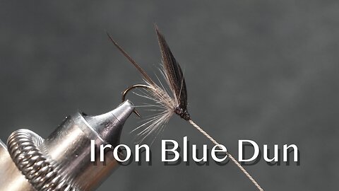 Iron Blue Dun: a trout fly from Favorite Flies and Their Histories (1892) by Mary Orvis Marbury