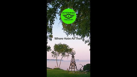 Where Have All The...